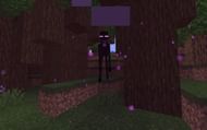 Enderman in a dark oak forest in Minecraft (Image via Minecraft)